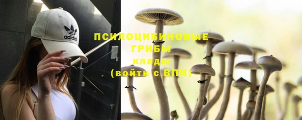 мет Зеленодольск