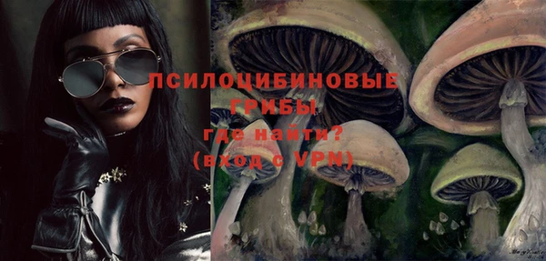 марки nbome Чекалин