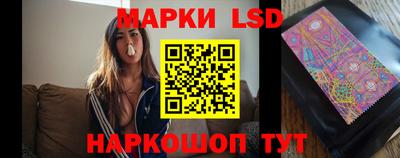 стафф Заводоуковск