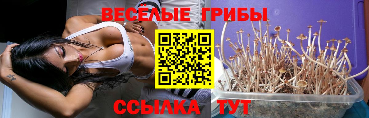 Галлюциногенные грибы ЛСД Нальчик