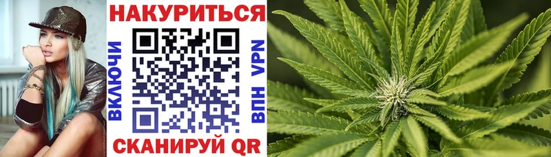Бошки Шишки семена  кракен сайт  Нальчик 